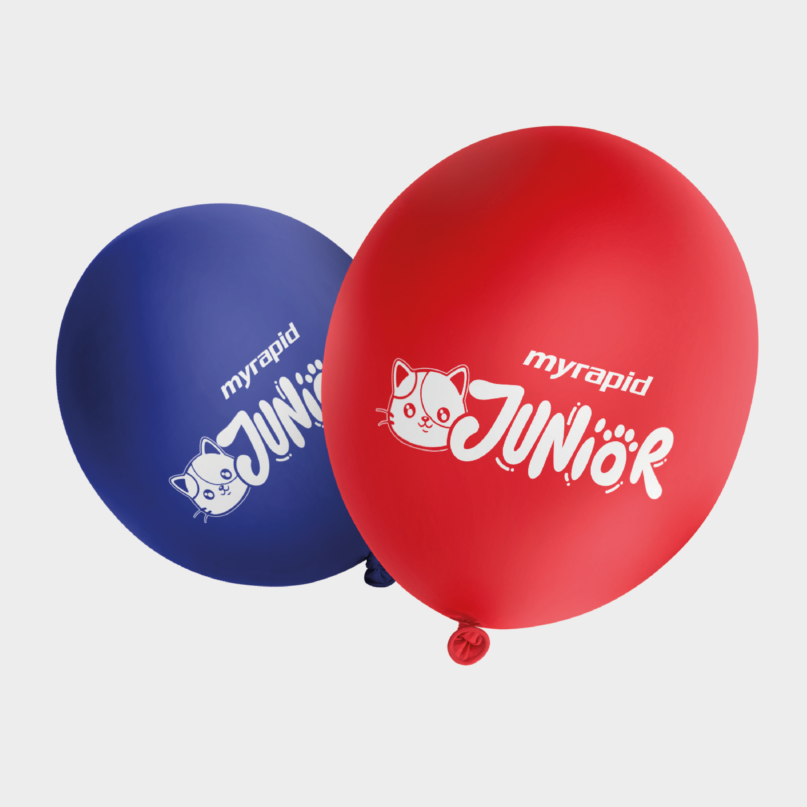 MyRapid Junior - Image 3